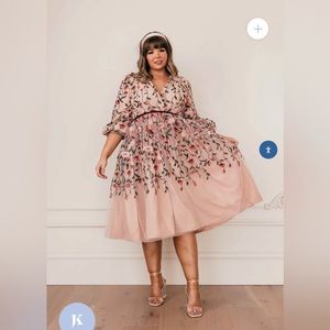 NWT Jessakae Holly Dress Embroidered Tulle